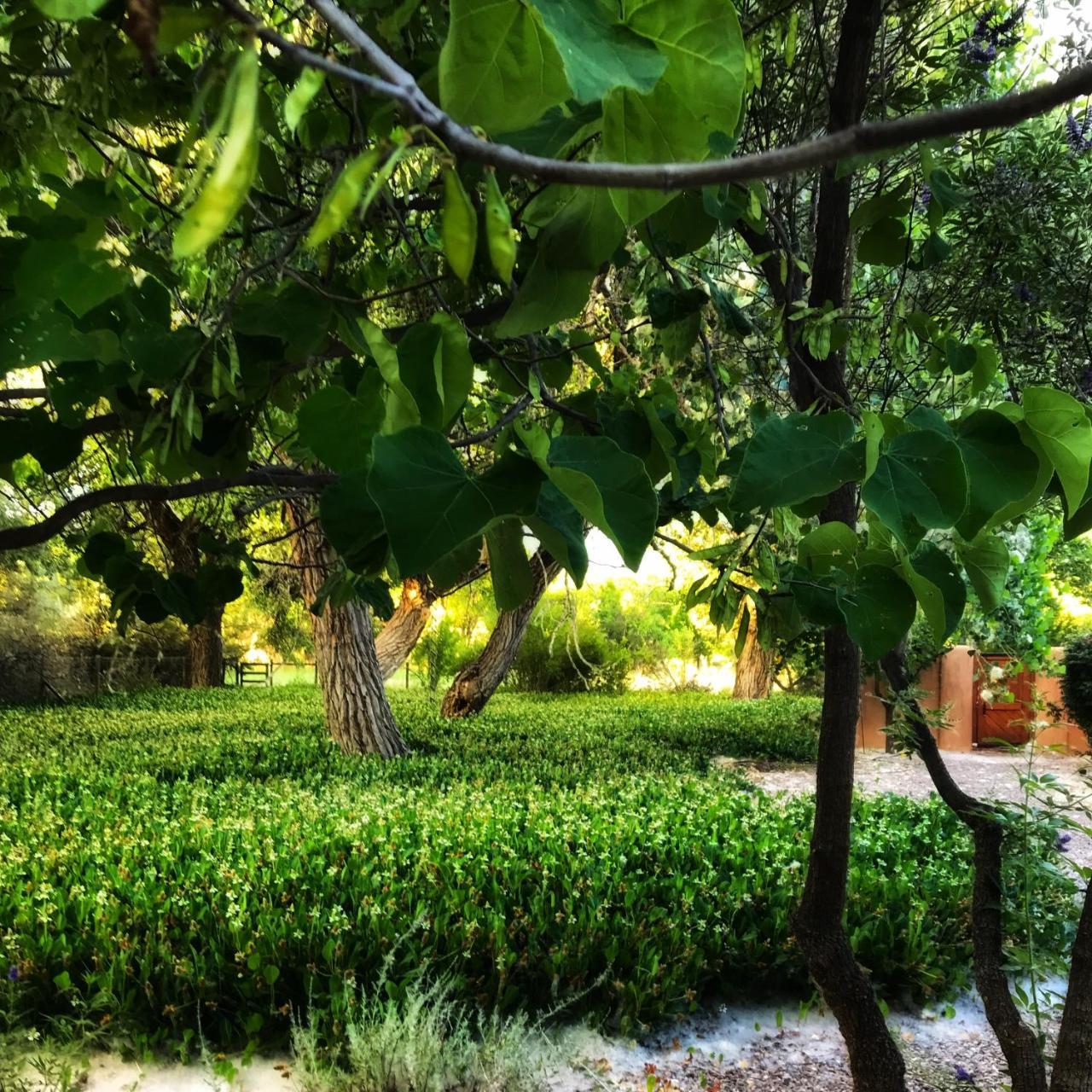 Morning Star Bed & Breakfast Of Corrales 외부 사진